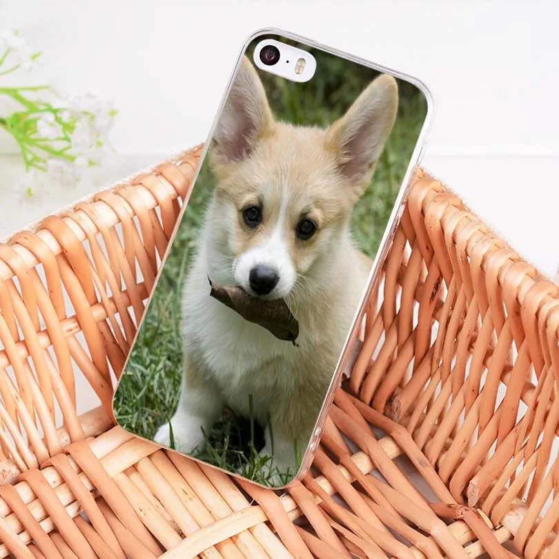 Мягкий чехол для телефона из ТПУ MaiYaCa с изображением щенка собаки игры сна iPhone 8 7 6