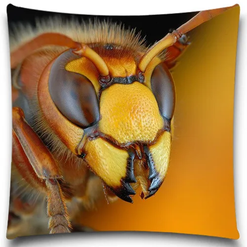 Квадратная наволочка для дивана Spider/Frog декоративная из хлопка/полиэстера | Дом и