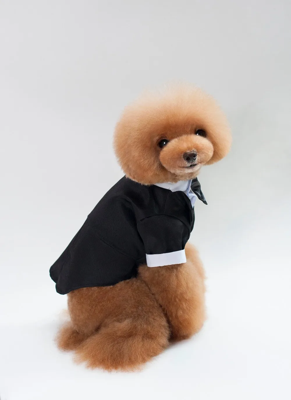 Black Dog Tuxedo Suit Puppy Wedding Clothes Doggie Costume Prince Cute Gentleman Bow Tie | Дом и сад