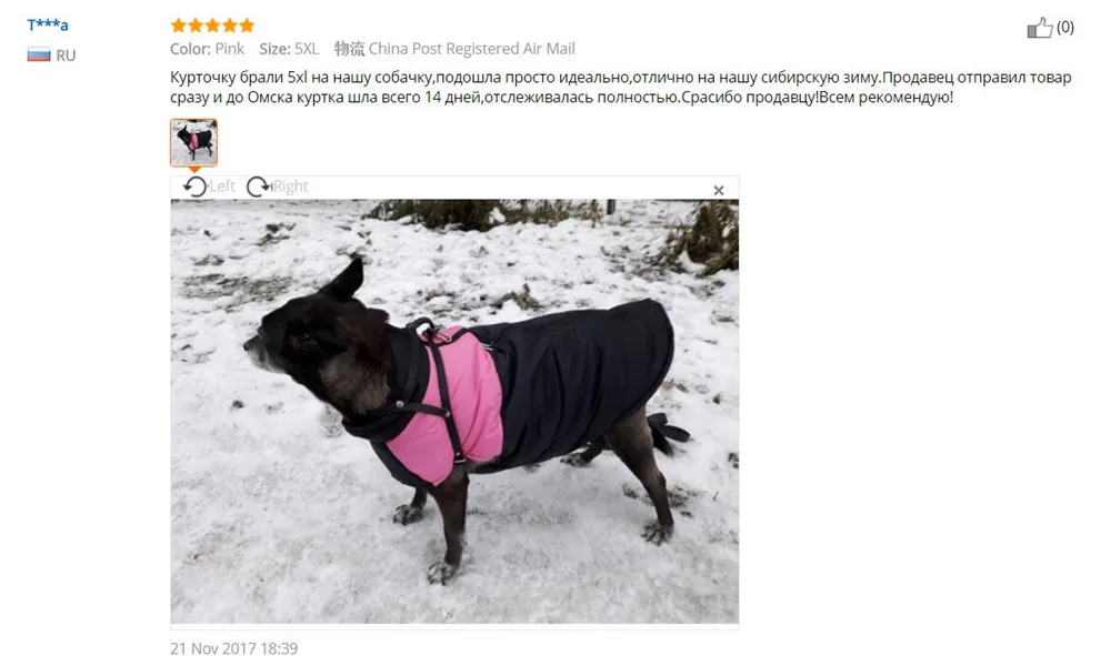 Petminru Одежда для собак для маленьких собак зимнее среднее пальто для собак крупных пород куртка водонепроницаемая хлопковая жилетка для собаки одежда