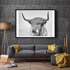 Скандинавский портрет высокогорного плакаты с изображением коровы, настенная живопись, картины на холсте для гостиной, скандинавский Декор для дома