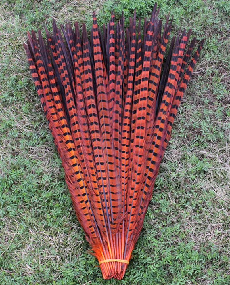 

Wholesale! 50pcs20-22 inch / 50-55cm beautiful pheasant feather hot orange