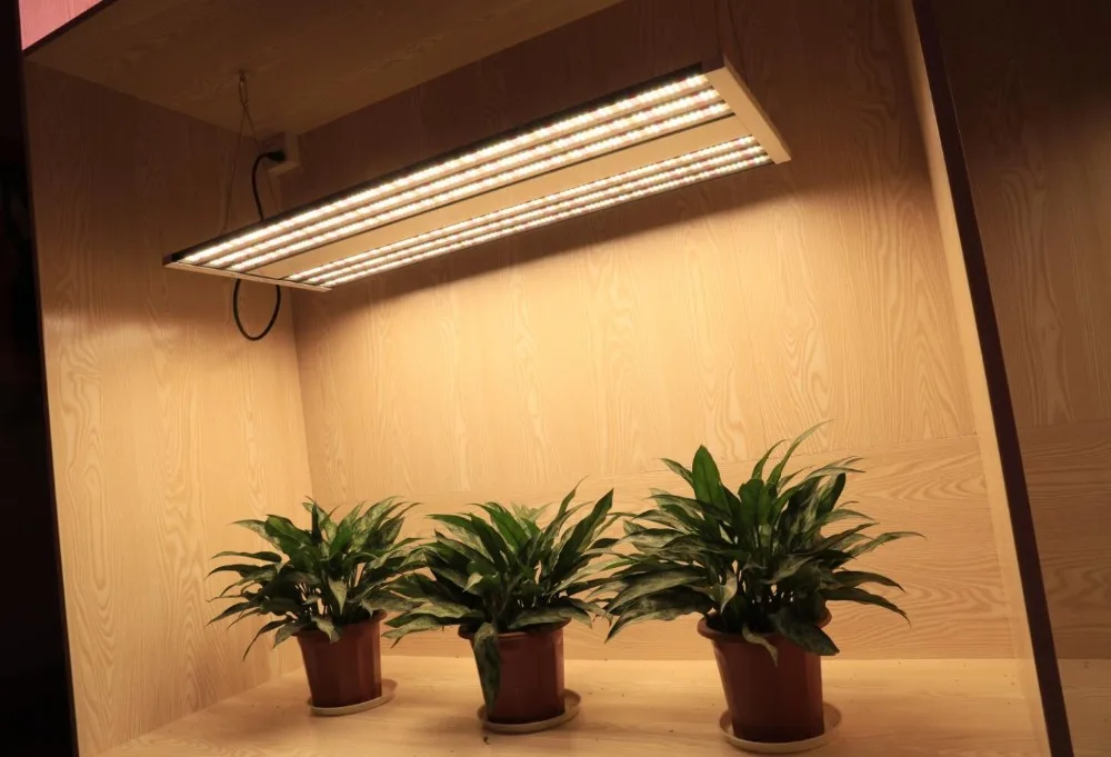 Phlizon 2000 W led Профессиональное Освещение растет ламп для комнатных растений Сад Цветок Гидропоника расти палатки Box