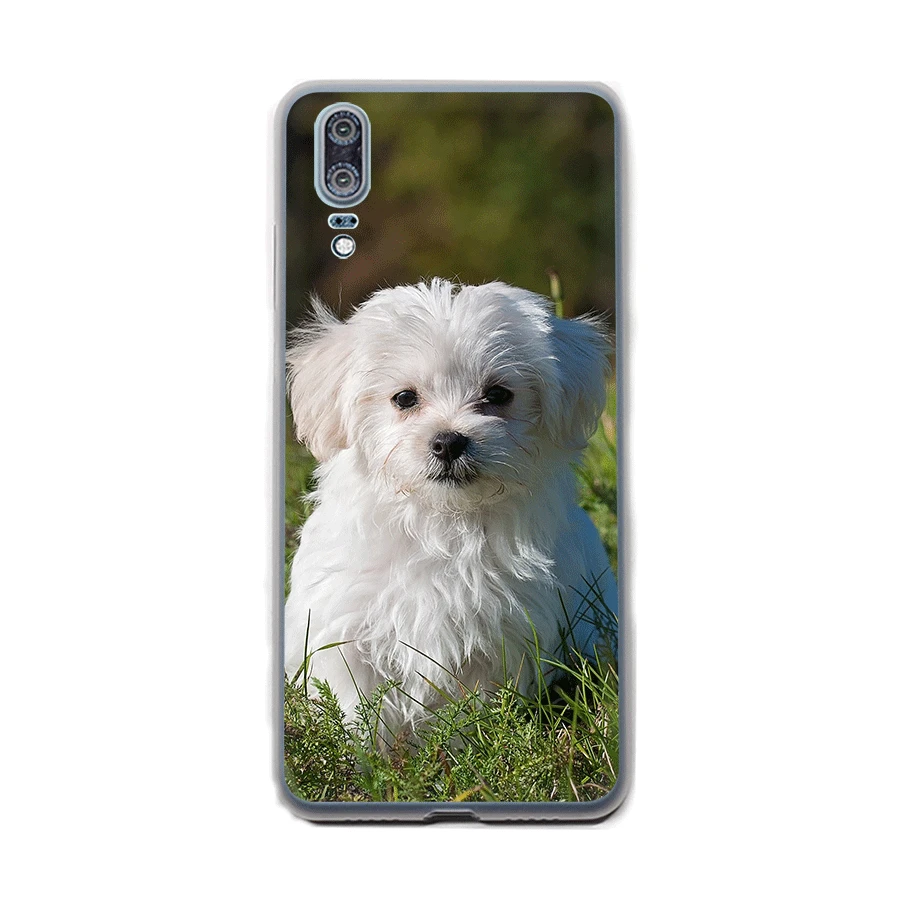 Чехол для телефона I Love Мальтийская болонка huawei P8 P9 P10 P20 P30 Lite Pro P смарт мягкие