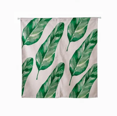 Зеленое растение лист природа затенение сельская дверь окно занавес украшение