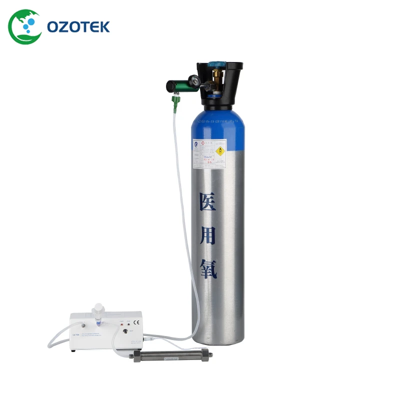 

OZOTEK 12VDC ozone therapy generator MOG003 5-99ug/ml for ozone medical/ozone therapy free shipping