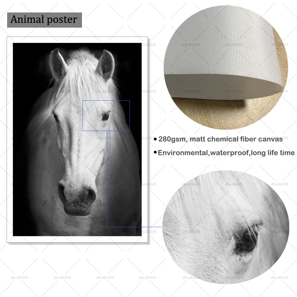 Настенные художественные фотографии животных холст живопись черный и белый