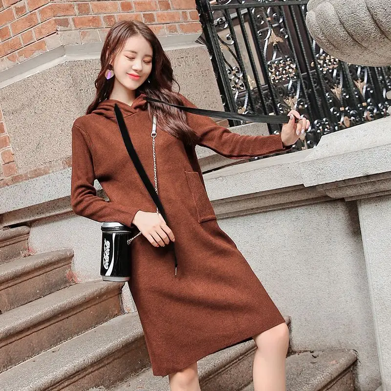 Для женщин платье Вязание длинный рукав Свободные утепленный вариант Dressesige