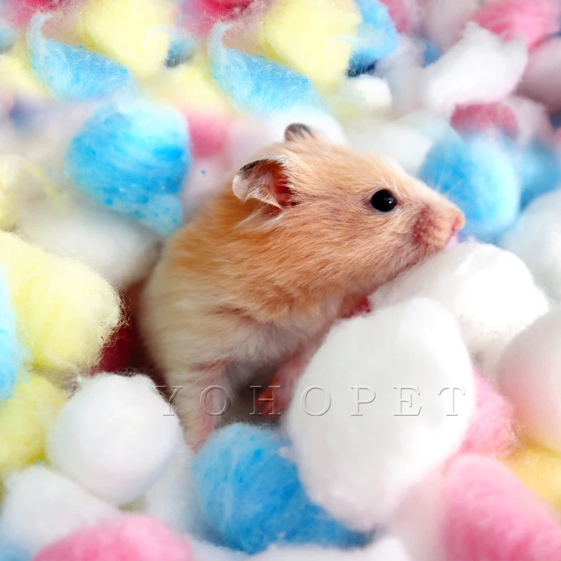 Игрушка для морская свинка хомяк дом cavia кровать syrian хомяк гигроскопический ватный шарик белка Тоторо клетки для хомяков теплое гнездо