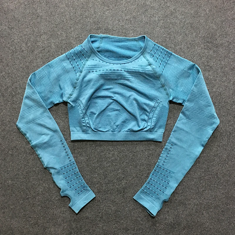 blue tops Спортивный комплект из 2 предметов, тренировочная одежда для женщин, безупречный трикотажный топ с длинным рукавом+ бесшовные леггинсы, комплект из 2 предметов для йоги - Цвет: blue tops