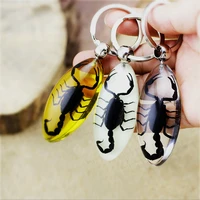 insect artificial amber key buckle water drop shaped keychain black scorpion specimen decoration mascot gift accessories 1piece