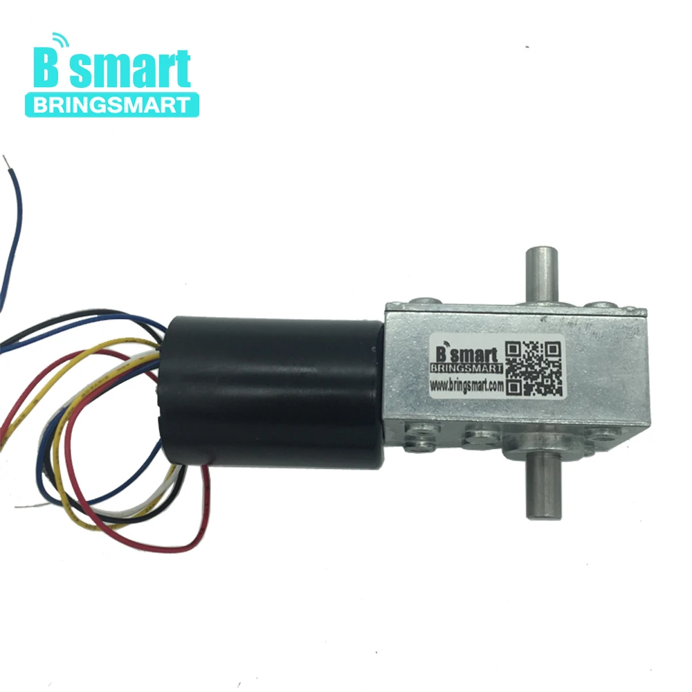 Bringsmart BLDC мотор 12 В 24 в двойной вал червячный редуктор мини самоблокирующийся