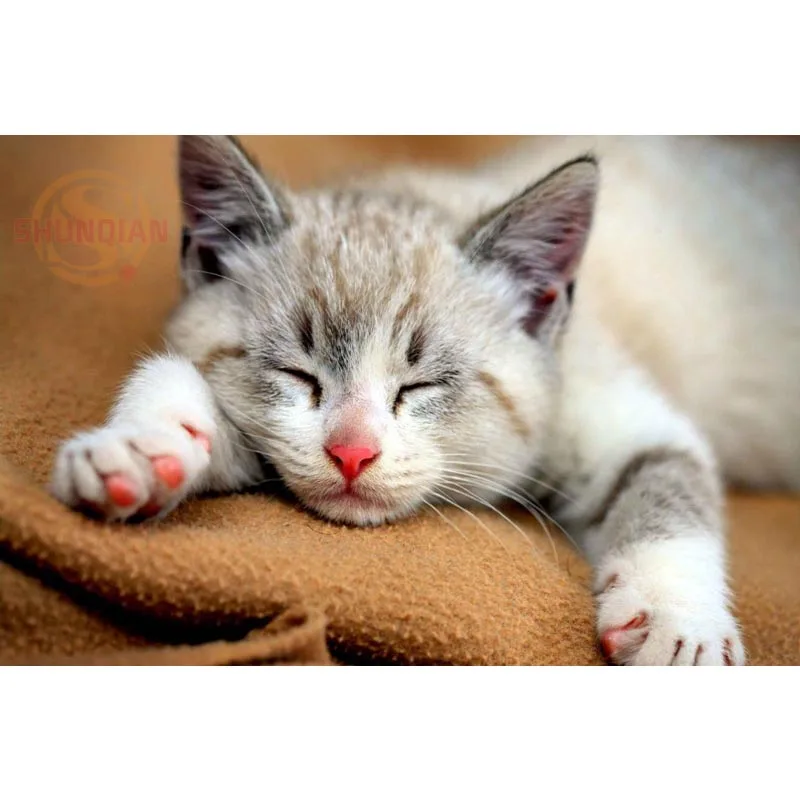 Новый милый атласный постер с изображением кошки и животных на заказ тканевый