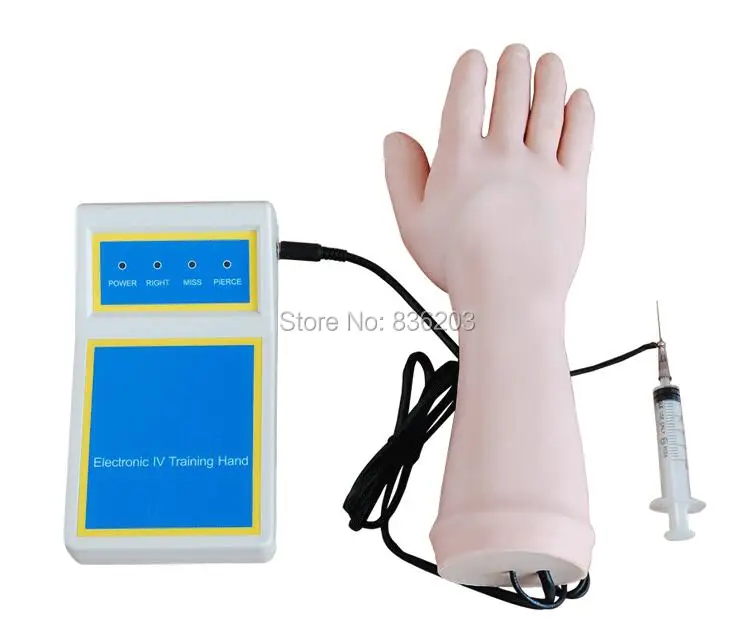 Электронная анатомическая IV Phlebotomy Venipuncture ручная Анатомия инъекция практика