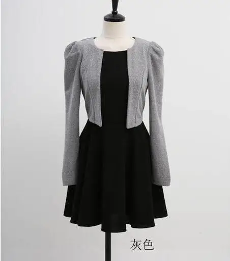 Набор 2: пиджак + Платье 2016 Новых Осенью Длинным Рукавом Элегантный Офис Партии