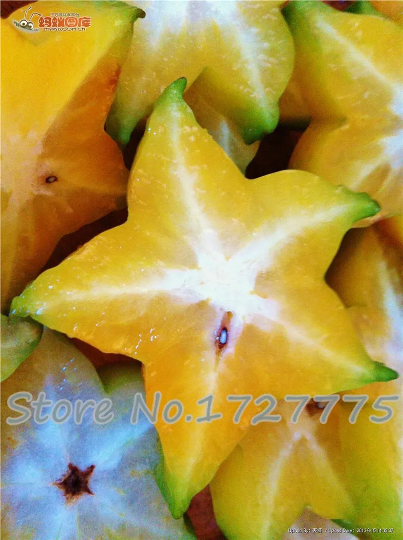 5 шт./лот carambola (star fruit) Семена не-трансгенный домашний сад бесплатная доставка