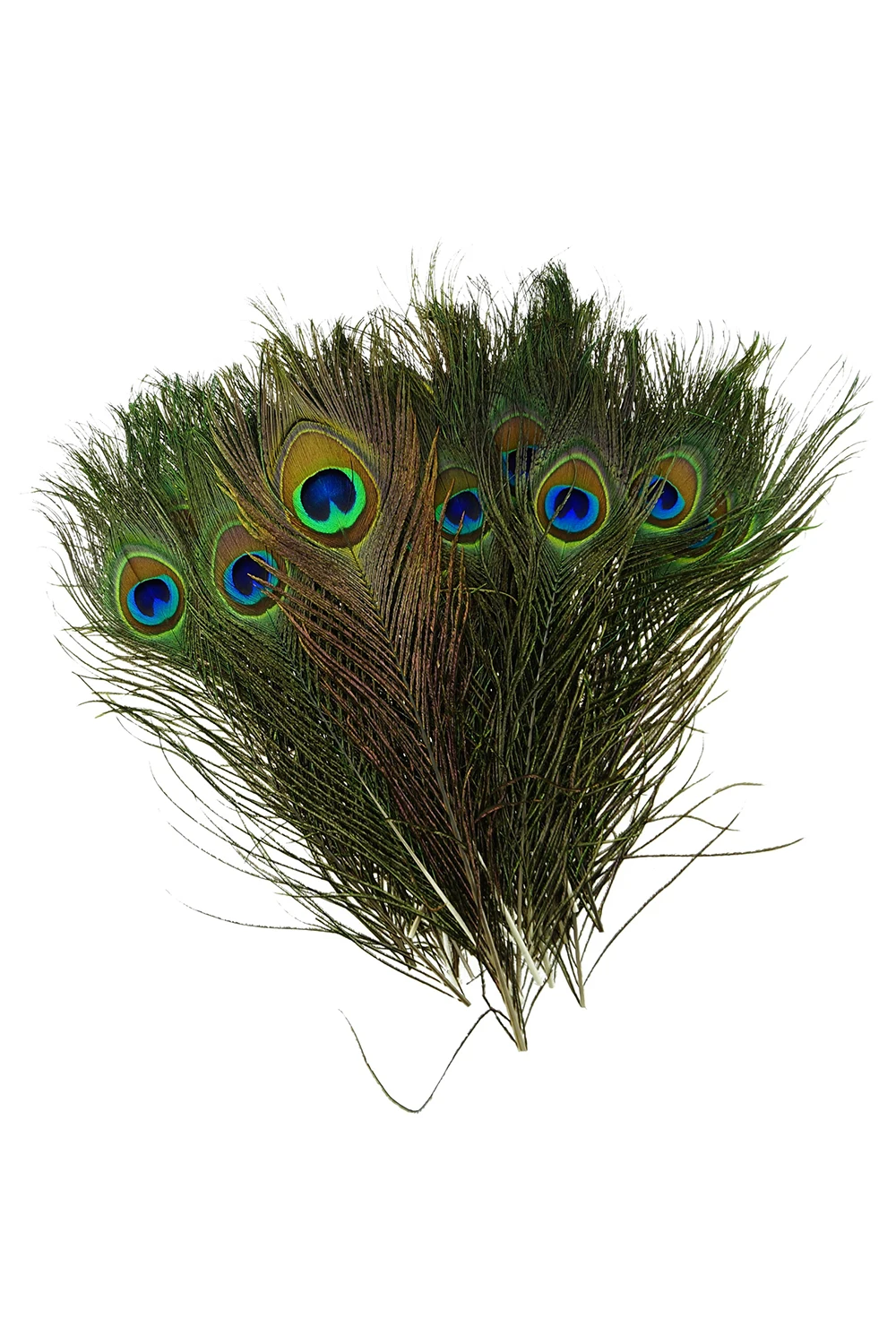 Натуральные перья павлина длиной 10 12 дюймов (40 штук в упаковке)|natural peacock feather|peacock