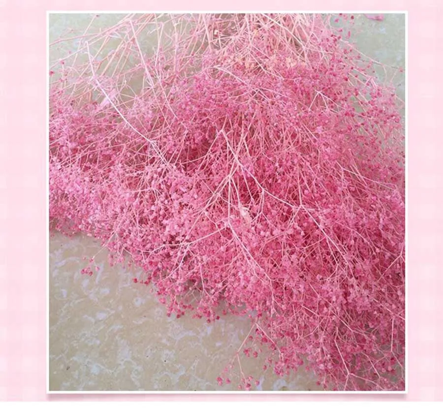 80 г высушенная Гипсофила метельчатая цветы для свадебной вечеринки праздника