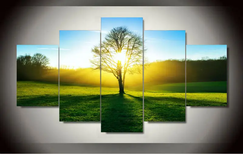 

5 Pieces Wall Art Morning Sunshine HD Picture Home Decoration Canvas Print Green Tree Grassland Scenery Paintings
