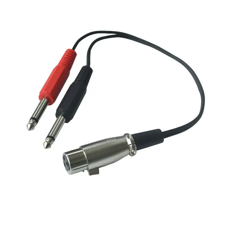 Мать оказывается двойной большой два основных XLR карты 6 35/6 5 одна минута аудио