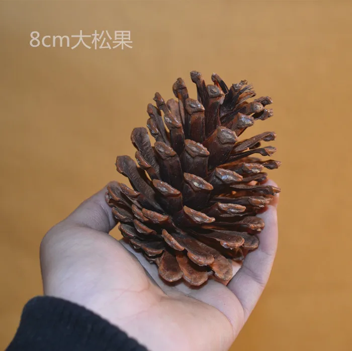 Натуральные сосновые конусы 8 см большие размеры декоративные фотообои цветы