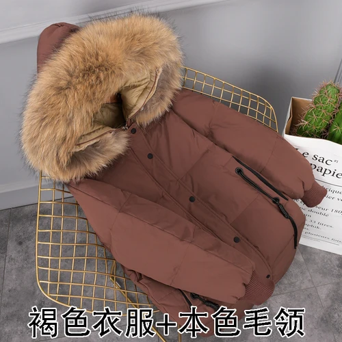 Brown-brown fur 5XL, плюс размер, белый пуховик на утином пуху, женские зимние парки, гусиное перо, пальто, длинная теплая одежда, мех енота, верхняя одежда, Okq070 - Цвет: Brown-brown fur