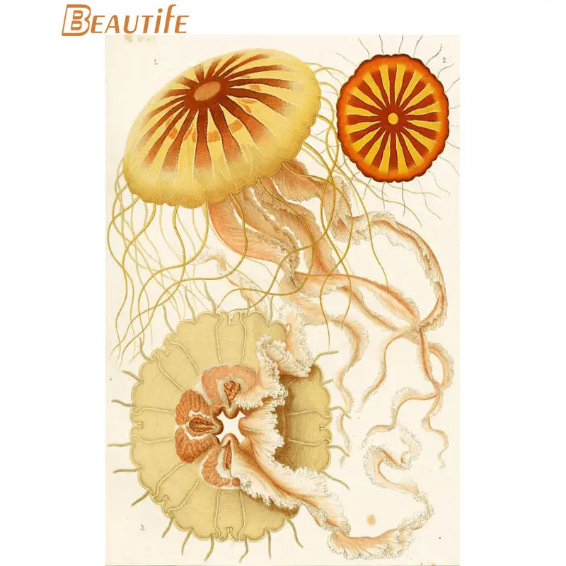 Пользовательские ernst haeckel морской жизни шелковая ткань постер для декорации дома стены искусства новая шелковая ткань стены плакат печать - Цвет: poster