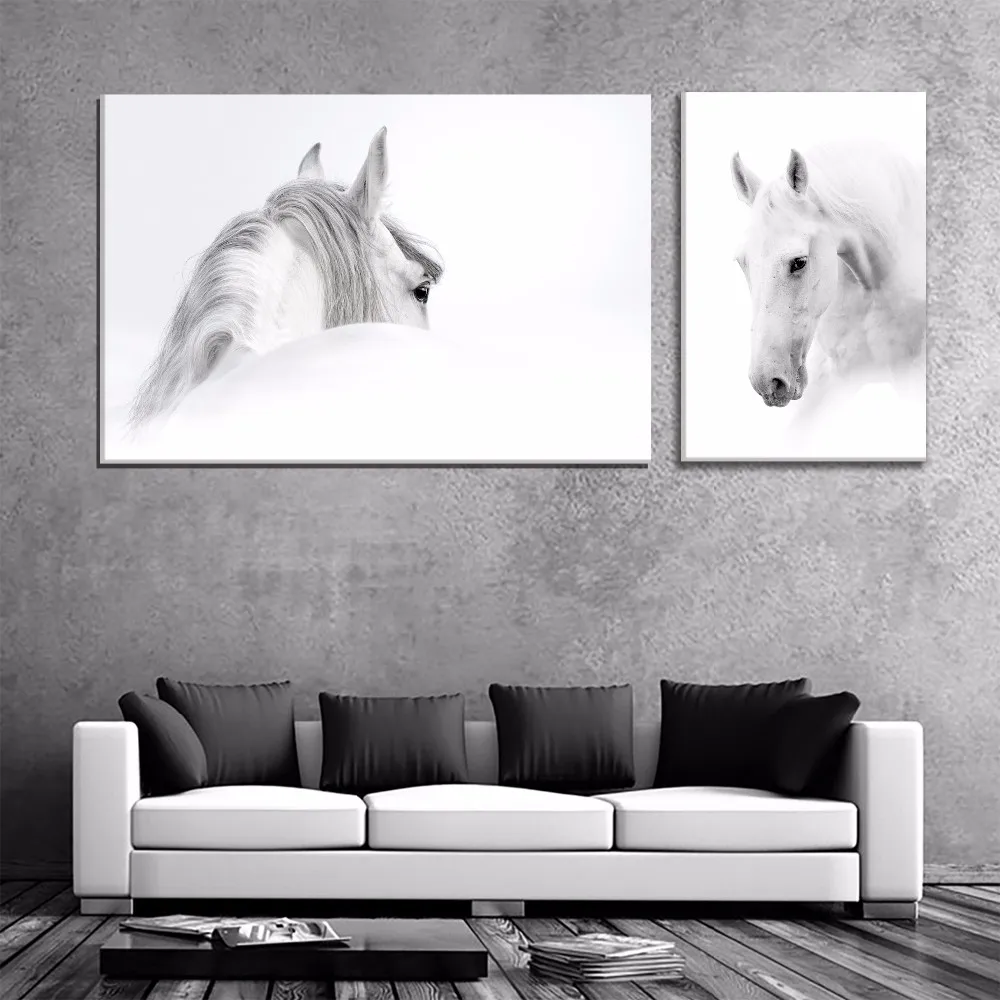 Картина с изображением белой лошади черно белая художественная картина печать