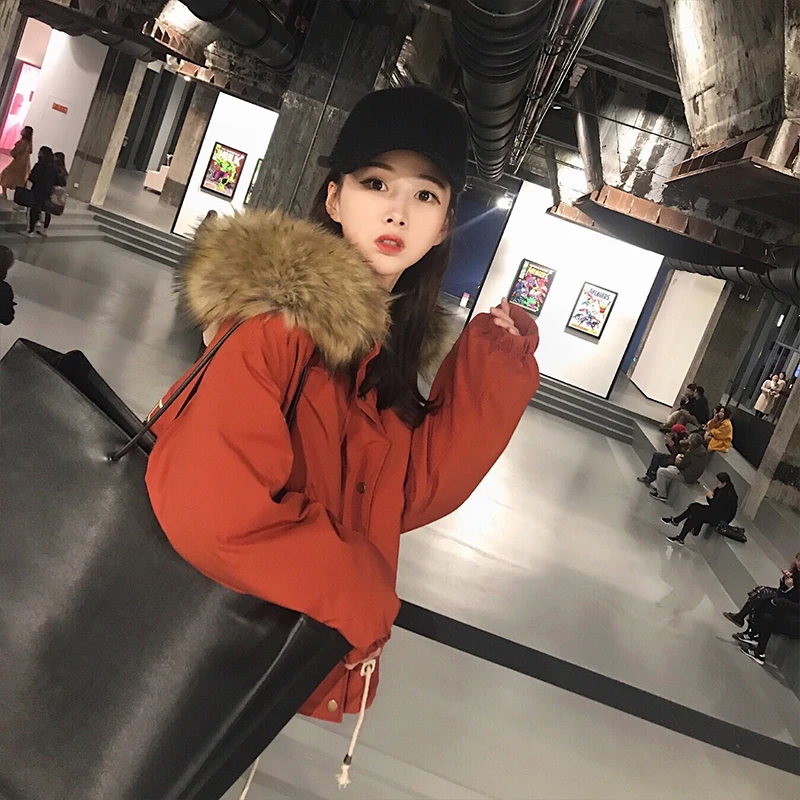 2018 зимняя женская куртка с натуральным мехом енота пуховик на белом утином пуху