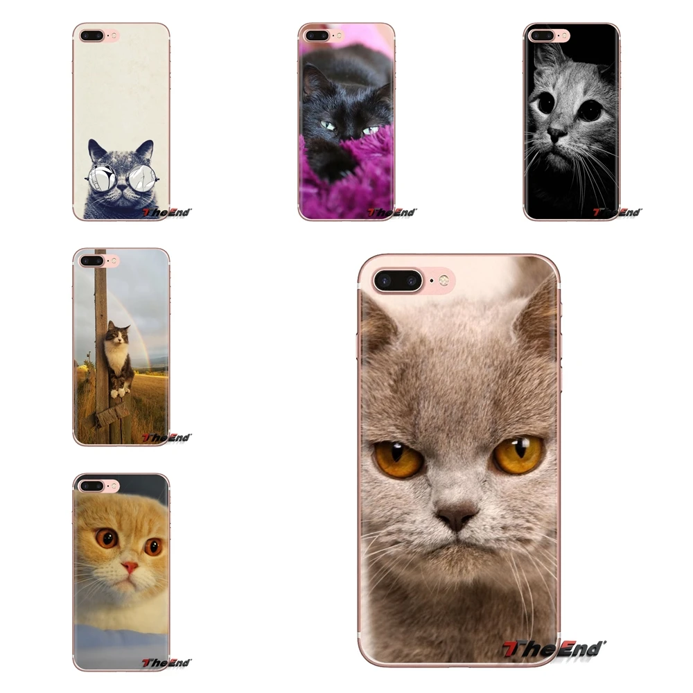 Cat wear grandmother's glasses For Samsung Galaxy J1 J2 J3 J4 J5 J6 J7 J8 Plus 2018 Prime 2015 2016 2017 Transparent TPU Housing |