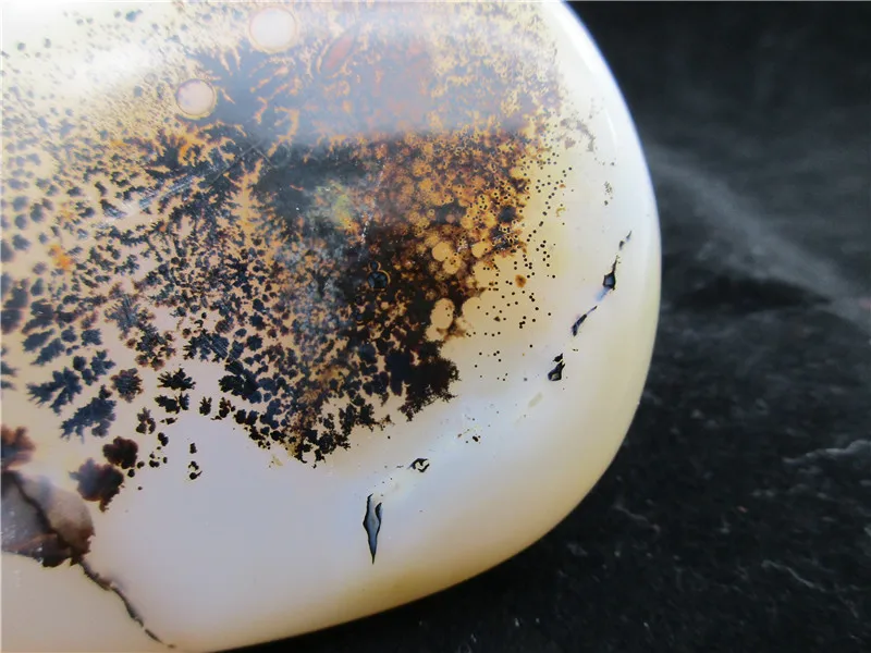 Natural Polished Aquatic Plants Agate Crystal Chakra Healing Reiki Stone Madagascar | Дом и сад