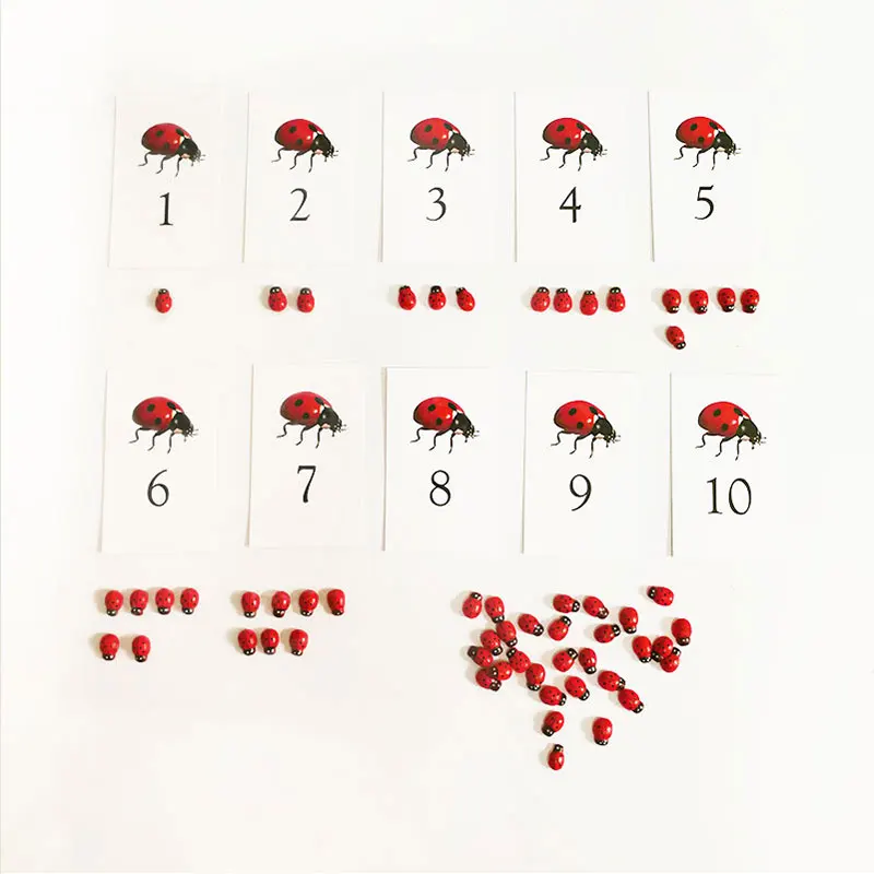 

Montessori Material Ladybug Counter Cards Set Educational Learning Toys For Children Pocket Cards Juguetes Montessori E2464H