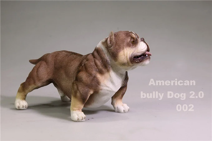 

Американская Bully собака масштаб 1/6 белый/песок/коричневый/черный щенок питбуль модель животного игрушка для 12 "экшн-фигурки
