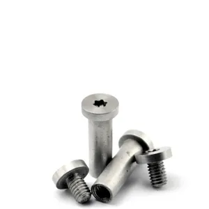 Шурупы с плоским хвостовиком сливы, винты из нержавеющей стали, 2 шт.