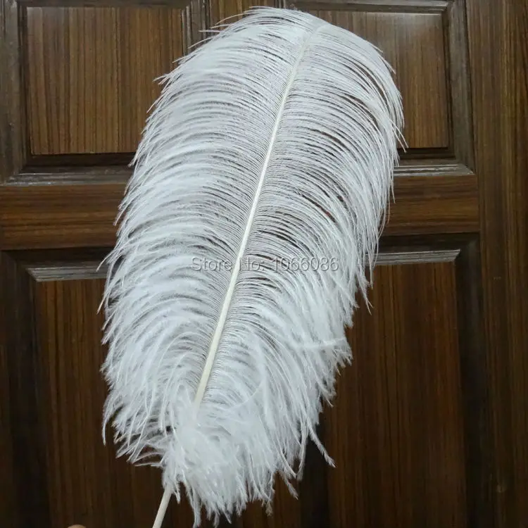 

EMS Free Shipping! 200pcs/lot 55-60cm 22-24inch Top quality White ostrich feathers ostrich plumages plumes