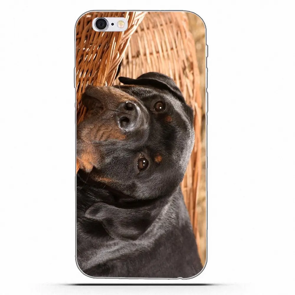 Чехол от бренда Wexoeq Rottweiler с изображением собаки чехол для Apple iPhone 4 5 5C 4S SE 6 6S 7 8 Plus X |