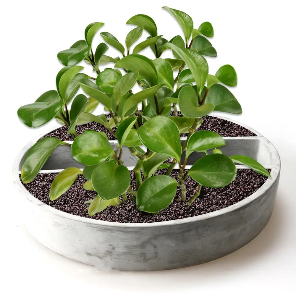 

Silicone Mold Small building Round Handmade Concrete Bonsai Cement Vase Mould