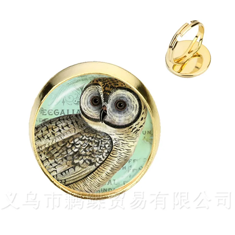 Кольца с рисунком Совы насекомое искусство картина стекло кабошон купол