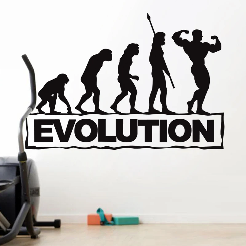 Эволюционная наклейка для фитнеса и клуба постеры бодибилдинга виниловые