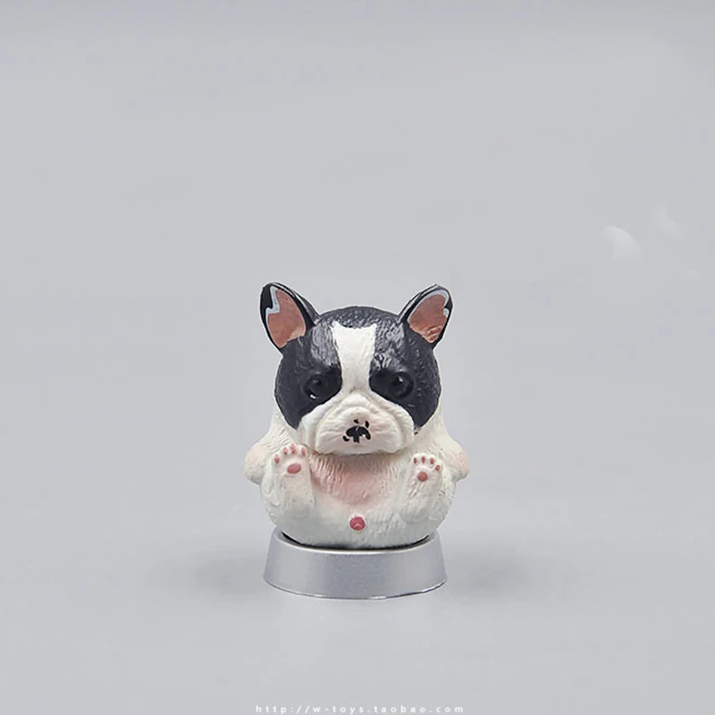 Круглая симпатичная собачка Шиба ину Bulldog Pomeranian Huskies разнообразные модели