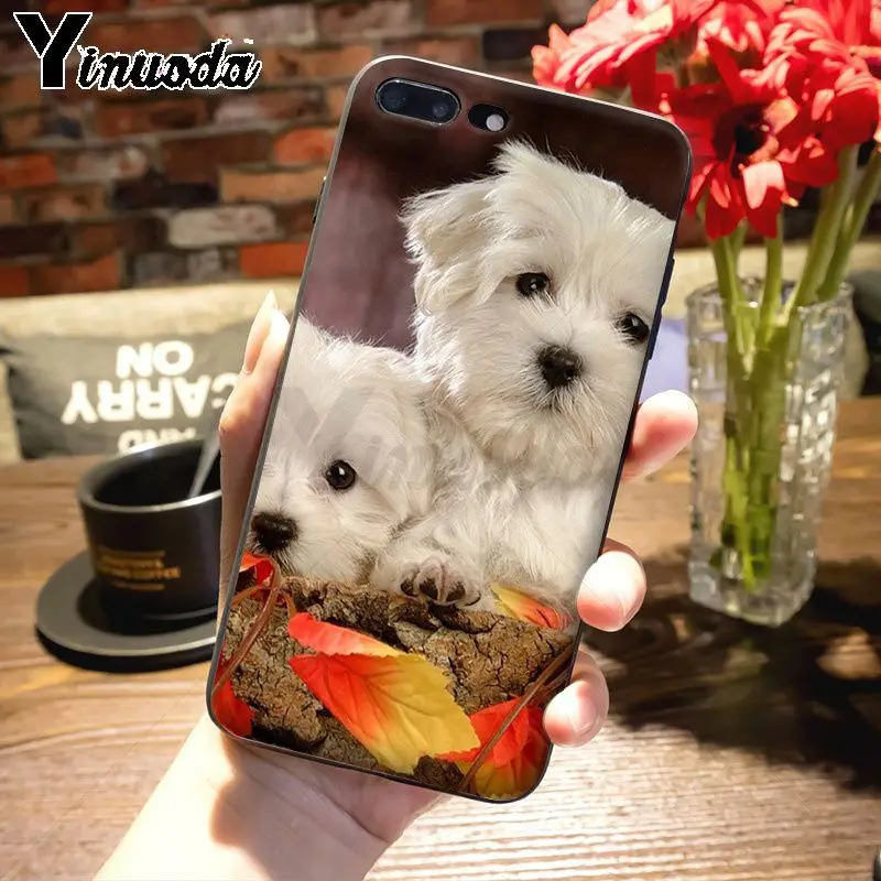 Yinuoda животное Bichon frise собака восхитительный цветной рисунок чехол для телефона Apple iPhone 8 7 6 6S Plus X 5s 11pro SE 5C Чехол