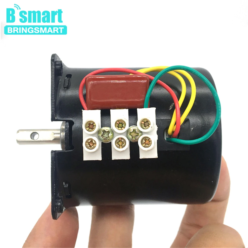 Bringsmart AC 110 В 220 в постоянный магнит двигатели с высоким крутящим моментом мощный редуктор скорости Реверсивный двигатель для барбекю мотор DIY 60KTYZ
