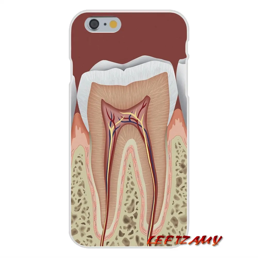 Чехлы для определения зубов для iPhone X, XR, XS, MAX, 4, 4S, 5, 5S, 5C, SE, 6, 6 S, 7, 8 Plus, ipod touch, 5, 6, аксессуары