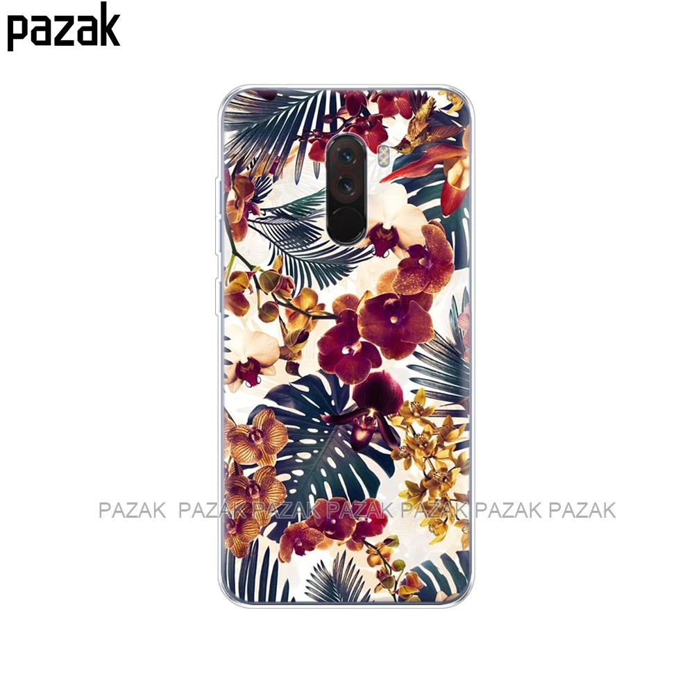 34373 Мягкий чехол pnleone для Xiaomi Pocophone F1, чехол Xiaomi Poco F1, силиконовый мягкий ТПУ чехол для телефона Xiaomi Pocophone F1 Global F, милый - Цвет: 34373