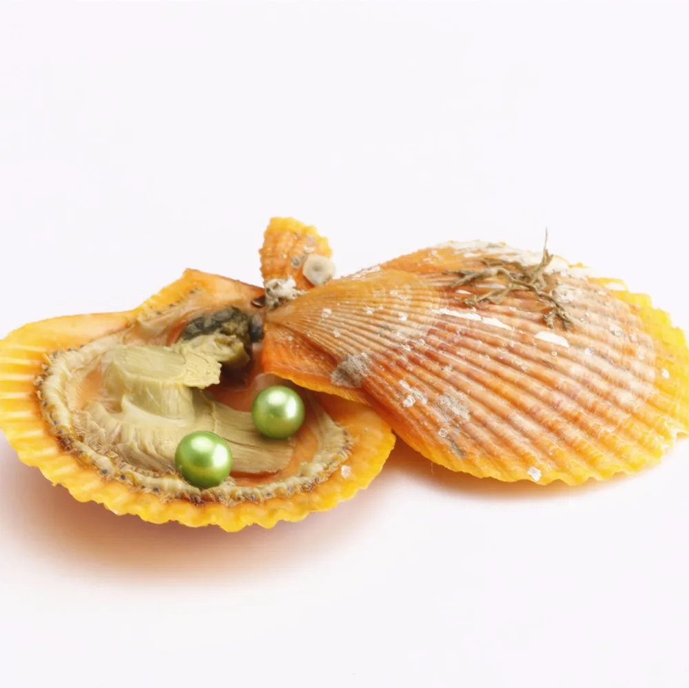 10 шт. 6 8 мм двойной круглый жемчуг Одинаковые цвета в фестоне akoya красные oysters