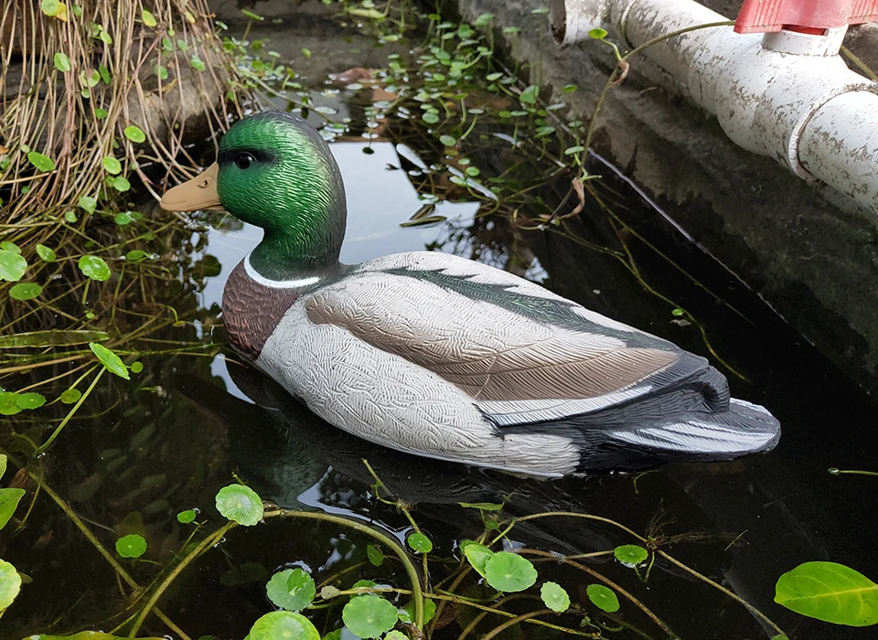 Манки для охоты на уток 3D охотничья игра Mallard водяная Сова стойка Sentry Drake 14in