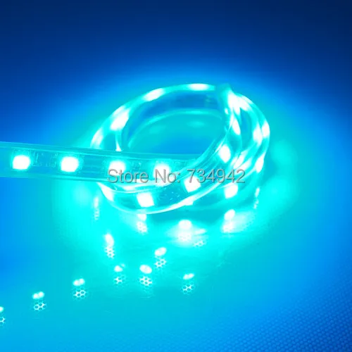 Waterproof-IP67 1 метр DC 12 V SMD5050 гибкий светодиодный ленты 60 s на белый красный зеленый
