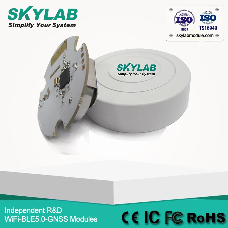 SKYLAB VG01 Bluetooth маячок на Nrodic nRF51822 с Cr2477 CE RoHS FCC Сертифицированный UUID программируемый