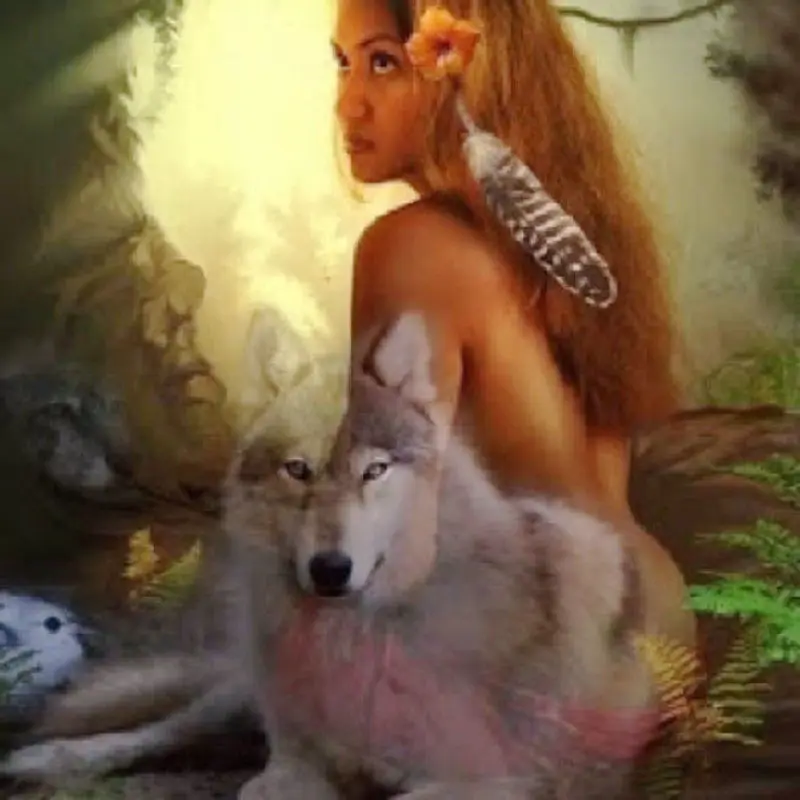 

DIY Diamond Embroidery,5D Diamond painting, mosaic,cross stitch kit,Woman and wolf pattern,needlework,Crafts,Christmas,decor