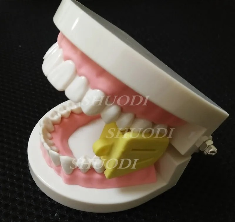 3 шт. стоматологические изделия Автоклавируемые продукты оттискной лоток опора